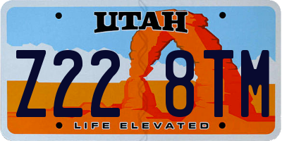 UT license plate Z228TM