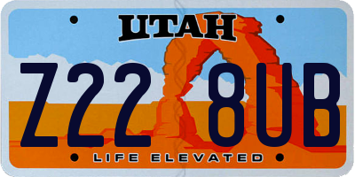 UT license plate Z228UB