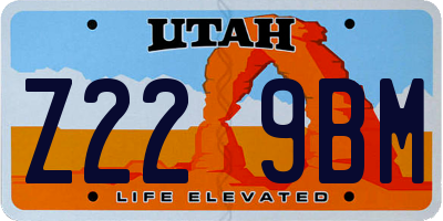 UT license plate Z229BM