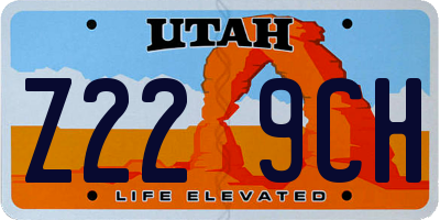 UT license plate Z229CH