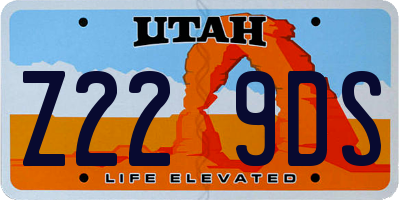 UT license plate Z229DS