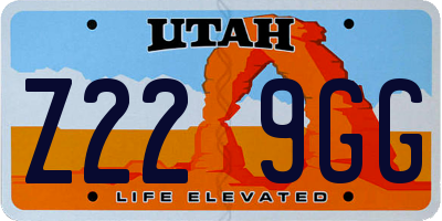 UT license plate Z229GG