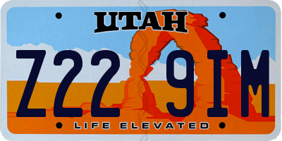 UT license plate Z229IM