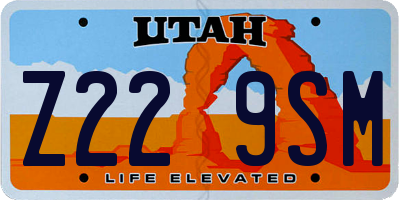 UT license plate Z229SM