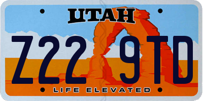 UT license plate Z229TD