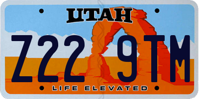 UT license plate Z229TM