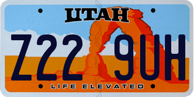 UT license plate Z229UH