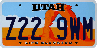 UT license plate Z229WM