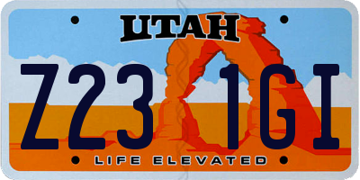 UT license plate Z231GI