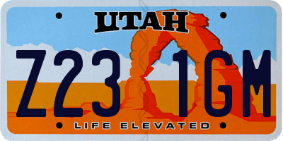 UT license plate Z231GM