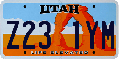 UT license plate Z231YM