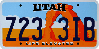 UT license plate Z233IB