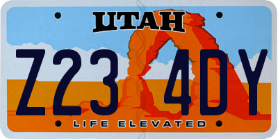 UT license plate Z234DY