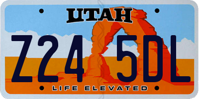 UT license plate Z245DL