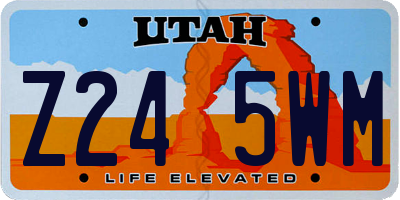 UT license plate Z245WM