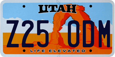 UT license plate Z250DM