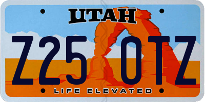 UT license plate Z250TZ