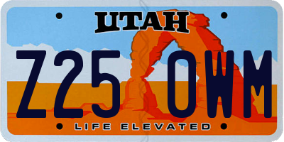 UT license plate Z250WM