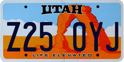 UT license plate Z250YJ