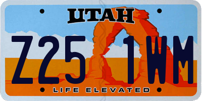 UT license plate Z251WM