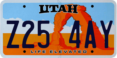 UT license plate Z254AY