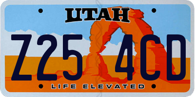 UT license plate Z254CD