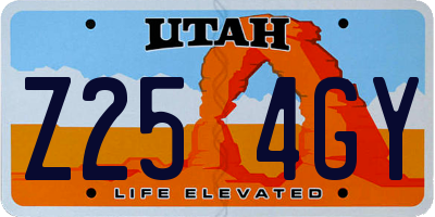 UT license plate Z254GY