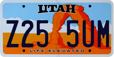 UT license plate Z255UM