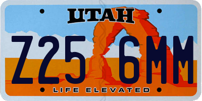 UT license plate Z256MM
