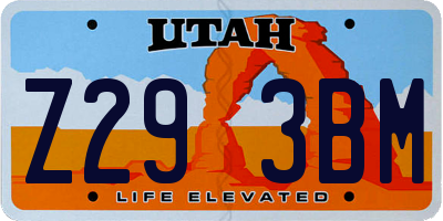 UT license plate Z293BM