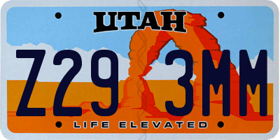 UT license plate Z293MM