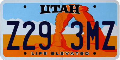 UT license plate Z293MZ