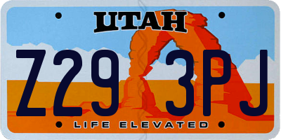 UT license plate Z293PJ