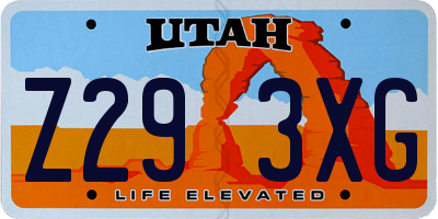 UT license plate Z293XG