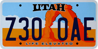 UT license plate Z300AE