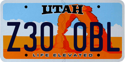 UT license plate Z300BL