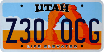 UT license plate Z300CG