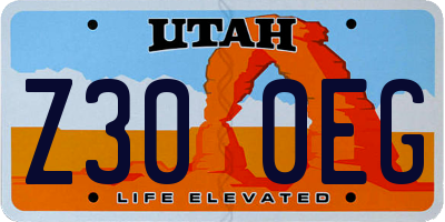 UT license plate Z300EG