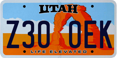 UT license plate Z300EK