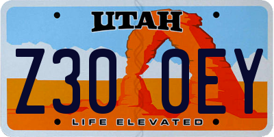 UT license plate Z300EY