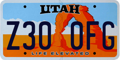 UT license plate Z300FG