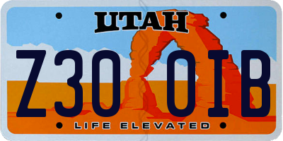 UT license plate Z300IB