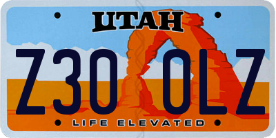 UT license plate Z300LZ