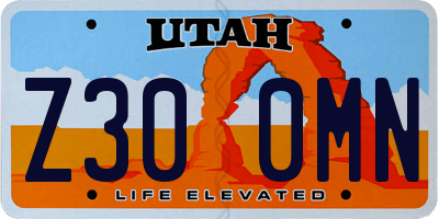 UT license plate Z300MN