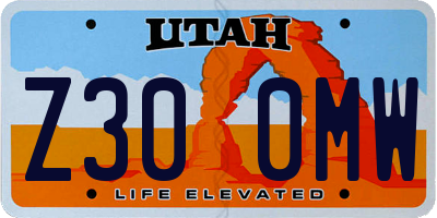 UT license plate Z300MW