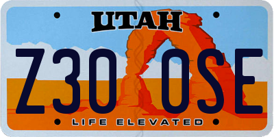 UT license plate Z300SE