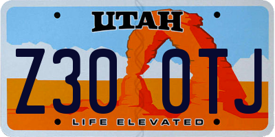 UT license plate Z300TJ