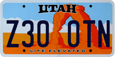 UT license plate Z300TN