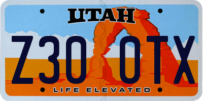 UT license plate Z300TX