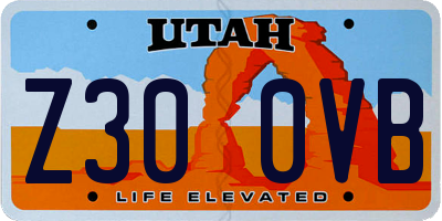UT license plate Z300VB